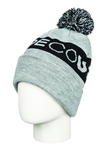 DC Shoes Boys Chester Beanie | WinterKids