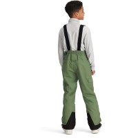 Teen Carver Bib Pant - Ski Thyme