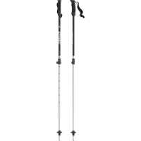 Youth AMT Telescopic Poles - Black / Silver